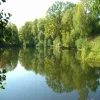 Koło wędkarskie w Lubrańcu - Strona stworzona przez wędkarzy i dla wędkarzy
