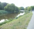 Zdjęcie z galerii