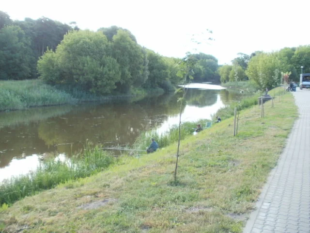Zdjęcie z galerii